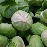 cabbage-1666765__340-1.jpg